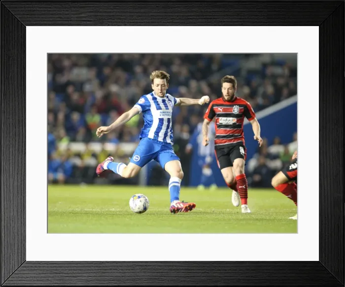 Framed Print : Brighton Midfielder Dale Stephens Fires a Shot Against Huddersfield Town (April 2015) Framed Print : Brighton Midfielder Dale Stephens Fires a Shot Against Huddersfield Town (April 2015)