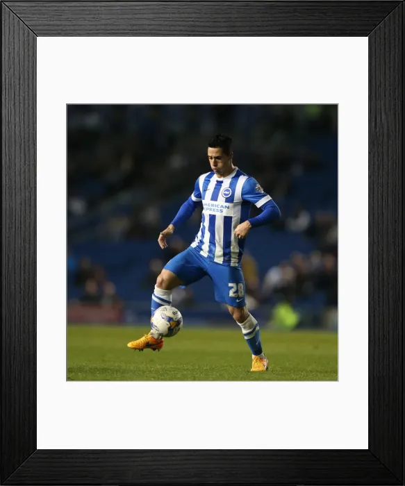 Framed Print : Brighton's Beram Kayal in Action against Huddersfield Town (April 2015) Framed Print : Brighton's Beram Kayal in Action against Huddersfield Town (April 2015)