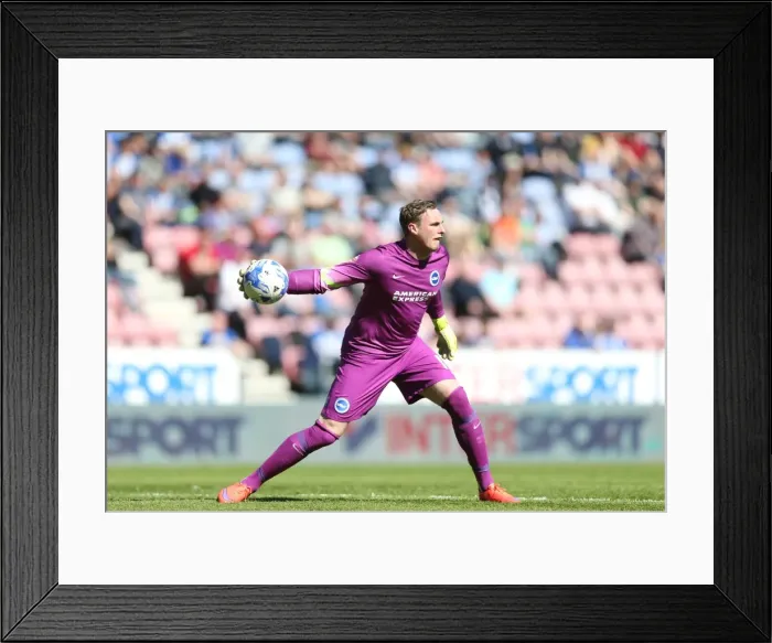 Framed Print : David Stockdale: In Action for Brighton and Hove Albion vs. Wigan Athletic, Sky Bet Championship (18th April 2015) Framed Print : David Stockdale: In Action for Brighton and Hove Albion vs. Wigan Athletic, Sky Bet Championship (18th April 2015)