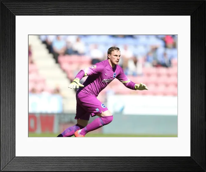 Framed Print : David Stockdale: Saving the Day for Brighton and Hove Albion vs. Wigan Athletic, Sky Bet Championship, 18th April 2015 Framed Print : David Stockdale: Saving the Day for Brighton and Hove Albion vs. Wigan Athletic, Sky Bet Championship, 18th April 2015