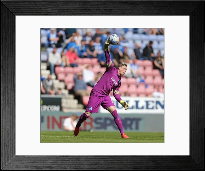 Framed Print : David Stockdale in Action: Wigan Athletic vs. Brighton and Hove Albion, Sky Bet Championship, 18th April 2015 Framed Print : David Stockdale in Action: Wigan Athletic vs. Brighton and Hove Albion, Sky Bet Championship, 18th April 2015
