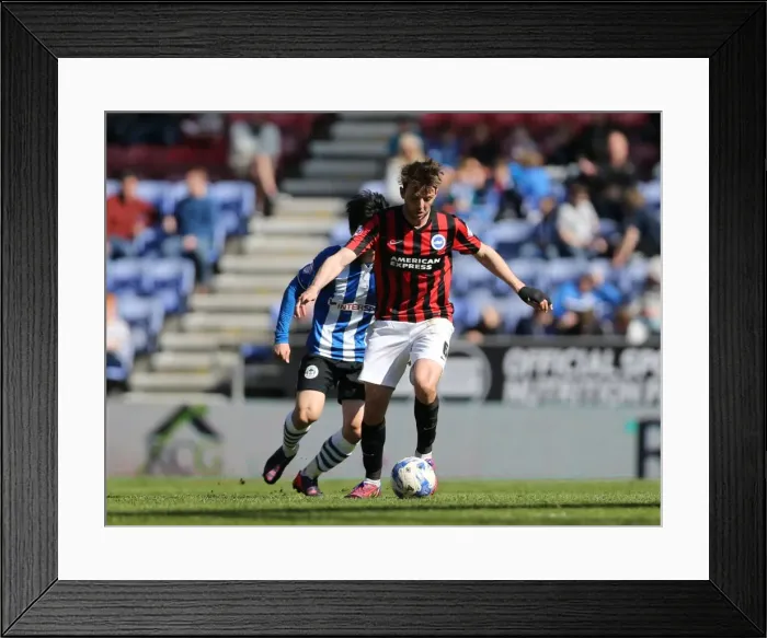 Framed Print : Dale Stephens in Action: Wigan Athletic vs. Brighton and Hove Albion, Sky Bet Championship, 18th April 2015 Framed Print : Dale Stephens in Action: Wigan Athletic vs. Brighton and Hove Albion, Sky Bet Championship, 18th April 2015