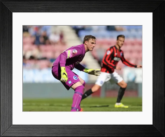 Framed Print : David Stockdale: Saving the Day for Brighton against Wigan Athletic, Sky Bet Championship, 18th April 2015 Framed Print : David Stockdale: Saving the Day for Brighton against Wigan Athletic, Sky Bet Championship, 18th April 2015