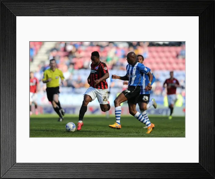 Framed Print : LuaLua in Action: Wigan Athletic vs. Brighton and Hove Albion (April 2015) Framed Print : LuaLua in Action: Wigan Athletic vs. Brighton and Hove Albion (April 2015)