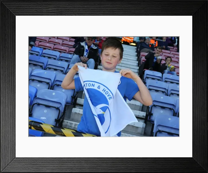 Framed Print : Brighton and Hove Albion Fans Unwavering Support at Wigan Athletic Championship Match, 18th April 2015 Framed Print : Brighton and Hove Albion Fans Unwavering Support at Wigan Athletic Championship Match, 18th April 2015