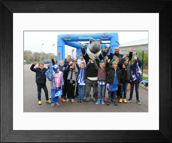 Framed Print : Brighton & Hove Albion: Sharky and Tymal Mills Amid Cricket Interruption vs. Watford (25APR15) Framed Print : Brighton & Hove Albion: Sharky and Tymal Mills Amid Cricket Interruption vs. Watford (25APR15)