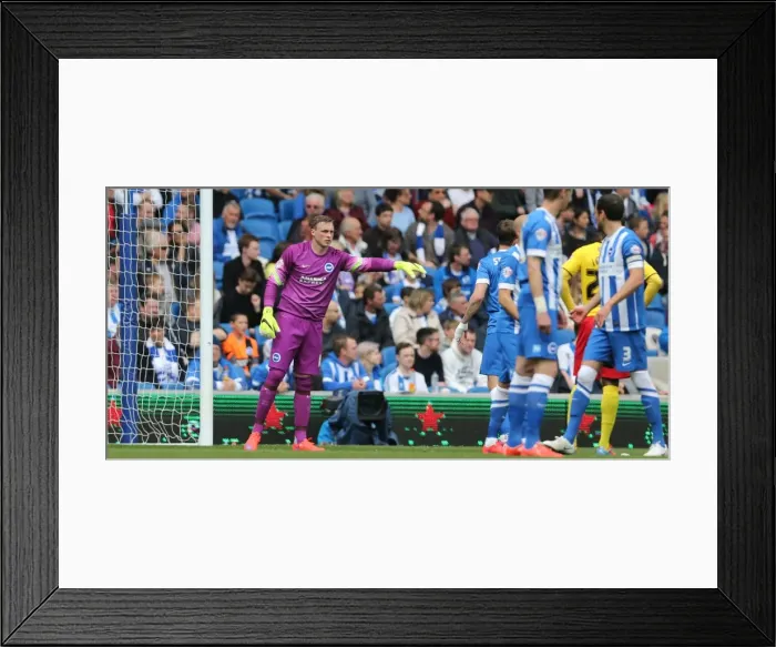 Framed Print : David Stockdale in Action: Brighton & Hove Albion vs. Watford (25APR15) Framed Print : David Stockdale in Action: Brighton & Hove Albion vs. Watford (25APR15)