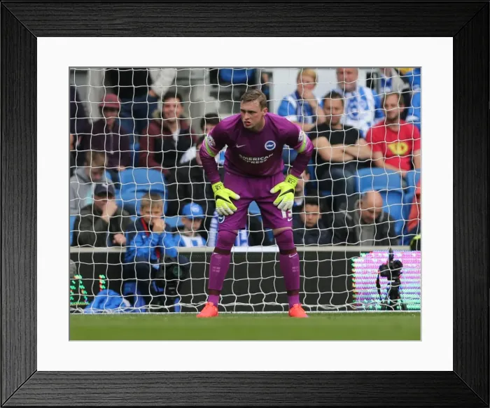 Framed Print : David Stockdale in Action: Brighton and Hove Albion vs. Watford, Sky Bet Championship 2015 (25APR15) Framed Print : David Stockdale in Action: Brighton and Hove Albion vs. Watford, Sky Bet Championship 2015 (25APR15)