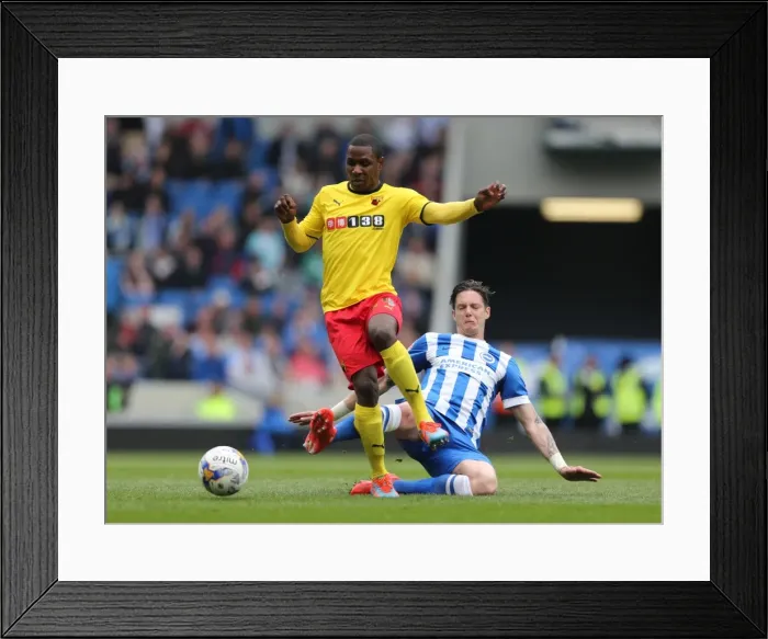 Framed Print : Greg Halford in Action: Brighton & Hove Albion vs. Watford, Sky Bet Championship, 25 April 2015 Framed Print : Greg Halford in Action: Brighton & Hove Albion vs. Watford, Sky Bet Championship, 25 April 2015