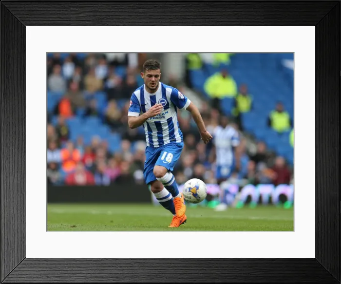 Framed Print : Jake Forster-Caskey in Action: Brighton & Hove Albion vs. Watford (25APR15) Framed Print : Jake Forster-Caskey in Action: Brighton & Hove Albion vs. Watford (25APR15)