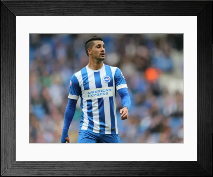 Framed Print : Beram Kayal in Action: Brighton & Hove Albion vs. Watford (25APR15) Framed Print : Beram Kayal in Action: Brighton & Hove Albion vs. Watford (25APR15)