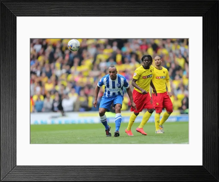Framed Print : Chris O'Grady in Action: Brighton & Hove Albion vs. Watford, American Express Community Stadium (25 April 2015)
