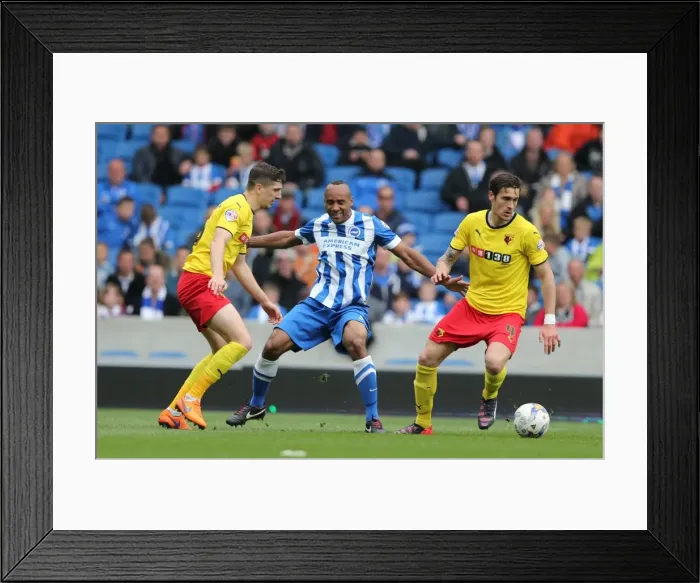 Framed Print : Chris O'Grady in Action: Brighton & Hove Albion vs. Watford, American Express Community Stadium (25 April 2015) Framed Print : Chris O'Grady in Action: Brighton & Hove Albion vs. Watford, American Express Community Stadium (25 April 2015)
