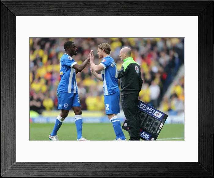 Framed Print : Craig Mackail-Smith's Emotional Farewell: Brighton and Hove Albion vs. Watford (25APR15)