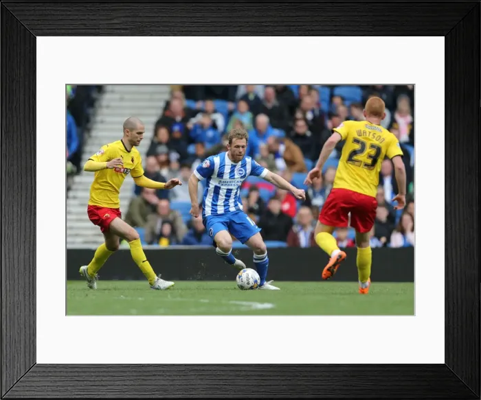Framed Print : Craig Mackail-Smith in Action: Brighton and Hove Albion vs. Watford, 25 April 2015 Framed Print : Craig Mackail-Smith in Action: Brighton and Hove Albion vs. Watford, 25 April 2015