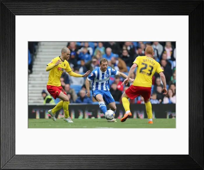 Framed Print : Brighton's Craig Mackail-Smith in Action: Sky Bet Championship Clash Against Watford (25 April 2015)