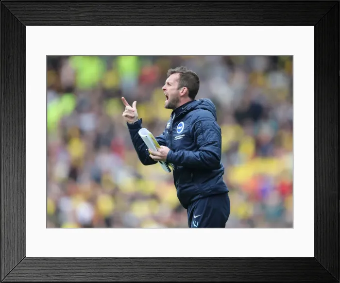 Framed Print : Brighton & Hove Albion: Nathan Jones Focused Amidst Watford Challenge (25APR15)