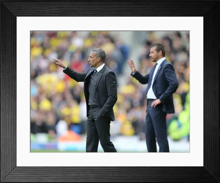 Framed Print : Chris Hughton: Focused Leadership at Brighton and Hove Albion vs. Watford (25APR15) Framed Print : Chris Hughton: Focused Leadership at Brighton and Hove Albion vs. Watford (25APR15)