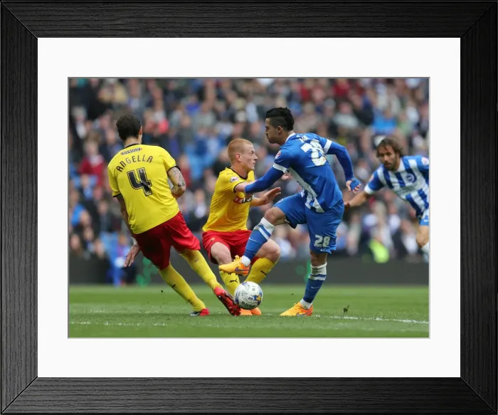 Framed Print : Beram Kayal in Action: Brighton & Hove Albion vs. Watford (25APR15) Framed Print : Beram Kayal in Action: Brighton & Hove Albion vs. Watford (25APR15)