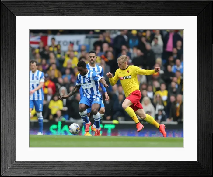Framed Print : Kazenga LuaLua in Action: Brighton & Hove Albion vs. Watford (25APR15) Framed Print : Kazenga LuaLua in Action: Brighton & Hove Albion vs. Watford (25APR15)