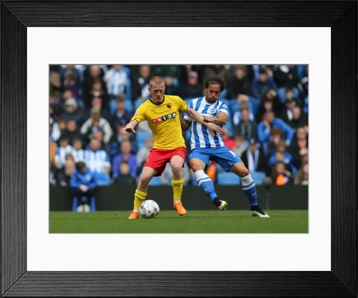Framed Print : Inigo Calderon in Action: Brighton & Hove Albion vs. Watford (Sky Bet Championship, 25APR15) Framed Print : Inigo Calderon in Action: Brighton & Hove Albion vs. Watford (Sky Bet Championship, 25APR15)