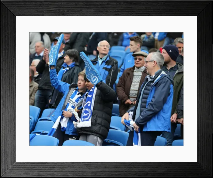 Framed Print : Brighton and Hove Albion v Watford Framed Print : Brighton and Hove Albion v Watford