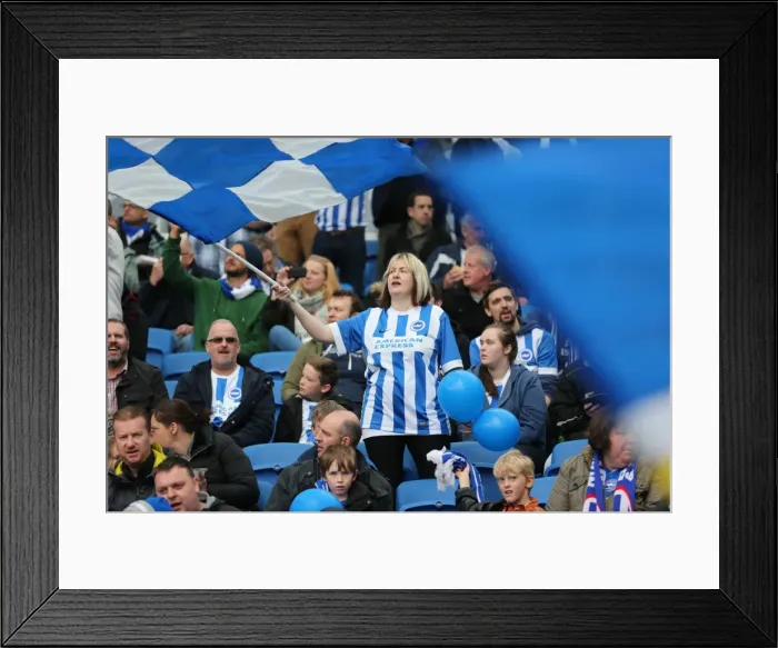 Framed Print : Passionate Showdown: Brighton & Hove Albion vs. Watford (25APR15) Framed Print : Passionate Showdown: Brighton & Hove Albion vs. Watford (25APR15)