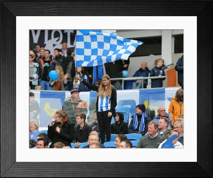 Framed Print : Passionate Showdown: Brighton & Hove Albion vs. Watford (25APR15) Framed Print : Passionate Showdown: Brighton & Hove Albion vs. Watford (25APR15)