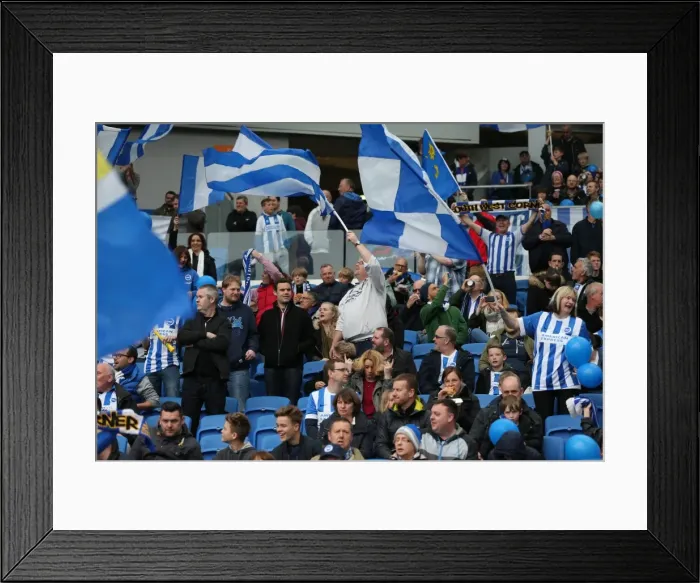 Framed Print : Intense Fan Rivalry: Brighton & Hove Albion vs. Watford (Sky Bet Championship, 25APR15) Framed Print : Intense Fan Rivalry: Brighton & Hove Albion vs. Watford (Sky Bet Championship, 25APR15)