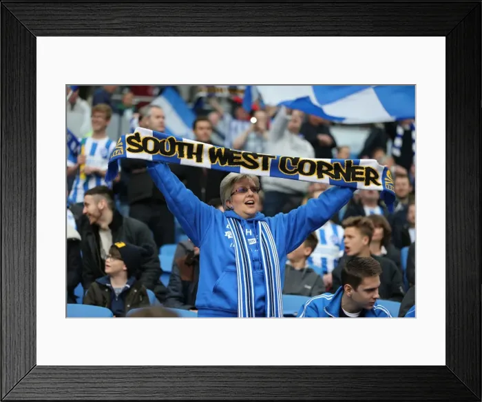 Framed Print : Intense Fan Rivalry: Brighton & Hove Albion vs. Watford (Sky Bet Championship, 25APR15) Framed Print : Intense Fan Rivalry: Brighton & Hove Albion vs. Watford (Sky Bet Championship, 25APR15)