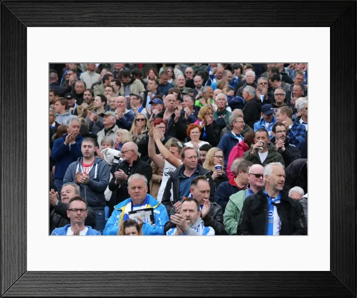 Framed Print : Passionate Showdown: Brighton & Hove Albion vs. Watford (25APR15) Framed Print : Passionate Showdown: Brighton & Hove Albion vs. Watford (25APR15)