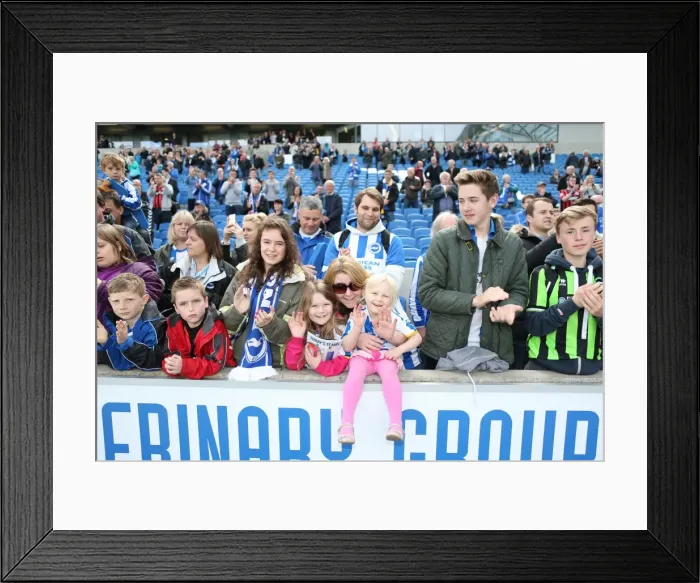 Framed Print : Jubilant Watford Fans Celebrate Promotion after Championship Victory over Brighton and Hove Albion (25APR15)
