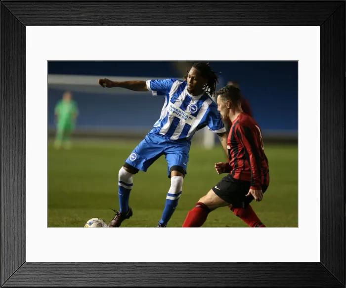 Framed Print : Brighton & Hove Albion: Play on the Pitch - April 27, 2015 (EVE) Framed Print : Brighton & Hove Albion: Play on the Pitch - April 27, 2015 (EVE)