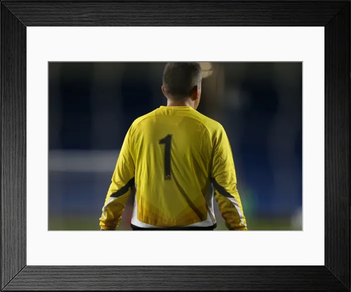 Framed Print : Brighton & Hove Albion: Play on the Pitch - April 27, 2015 Framed Print : Brighton & Hove Albion: Play on the Pitch - April 27, 2015