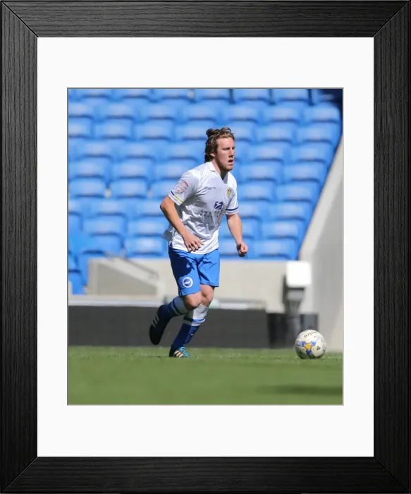 Framed Print : Brighton & Hove Albion: Play on the Pitch - A 2015 Experience at American Express Community Stadium Framed Print : Brighton & Hove Albion: Play on the Pitch - A 2015 Experience at American Express Community Stadium