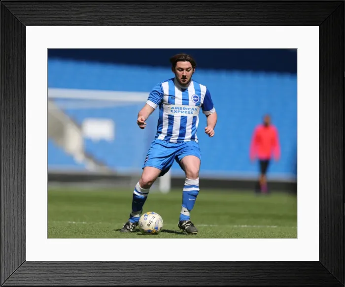 Framed Print : Brighton & Hove Albion: Play on the Pitch - April 28, 2015 (AMEX Community Stadium)