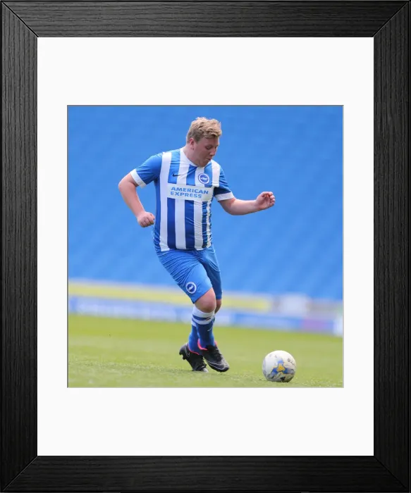 Framed Print : Brighton & Hove Albion: Play on the Pitch - American Express Community Stadium (April 28, 2015)