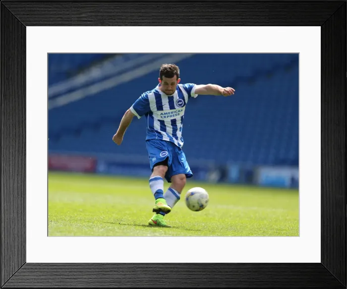 Framed Print : Brighton & Hove Albion: Play on the Pitch - 28 April 2015, American Express Community Stadium Framed Print : Brighton & Hove Albion: Play on the Pitch - 28 April 2015, American Express Community Stadium