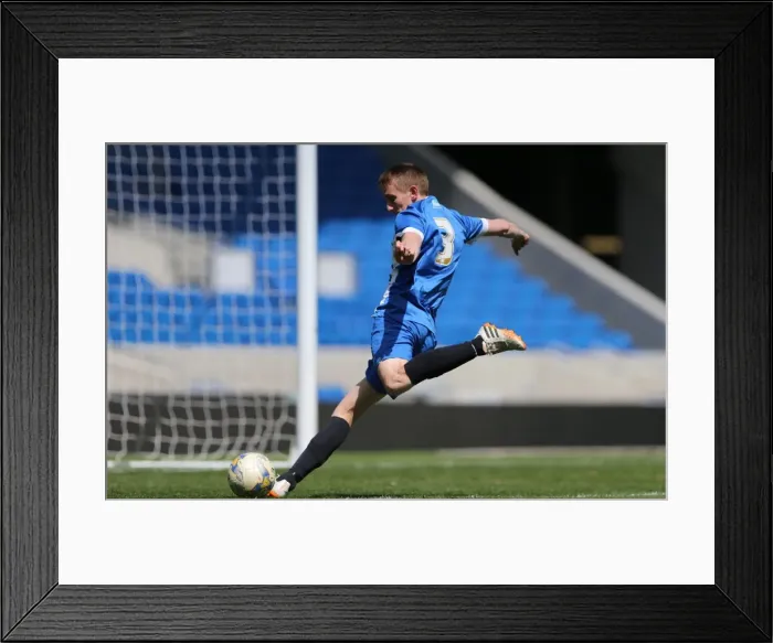 Framed Print : Brighton & Hove Albion: Play on the Pitch - 28 April 2015, American Express Community Stadium Framed Print : Brighton & Hove Albion: Play on the Pitch - 28 April 2015, American Express Community Stadium