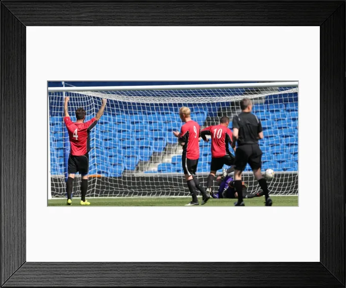 Framed Print : Brighton & Hove Albion: Play on the Pitch, American Express Community Stadium, 28 April 2015 Framed Print : Brighton & Hove Albion: Play on the Pitch, American Express Community Stadium, 28 April 2015