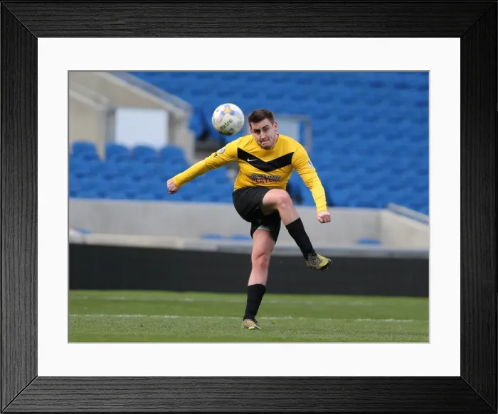 Framed Print : Brighton & Hove Albion: Play on the Pitch - A 2015 Match at American Express Community Stadium Framed Print : Brighton & Hove Albion: Play on the Pitch - A 2015 Match at American Express Community Stadium