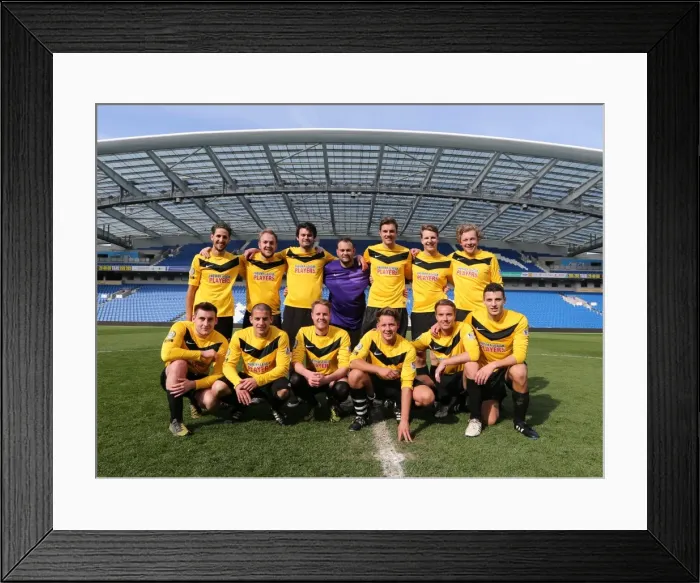 Framed Print : Brighton & Hove Albion: Play on the Pitch - A 2015 Match at American Express Community Stadium Framed Print : Brighton & Hove Albion: Play on the Pitch - A 2015 Match at American Express Community Stadium