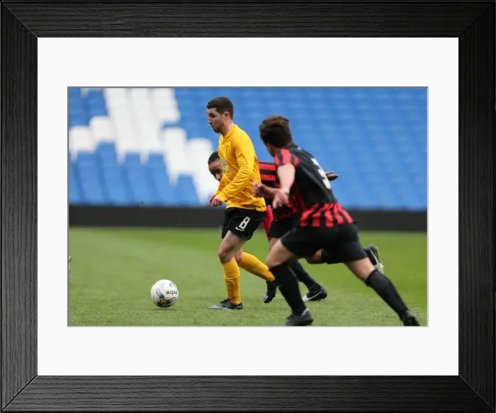 Framed Print : Brighton & Hove Albion: Play on the Pitch - American Express Community Stadium (April 29, 2015) Framed Print : Brighton & Hove Albion: Play on the Pitch - American Express Community Stadium (April 29, 2015)