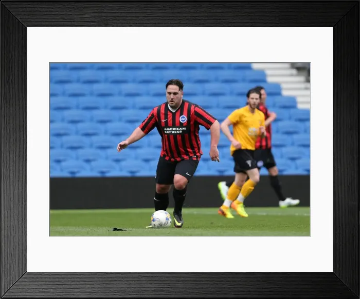 Framed Print : Brighton & Hove Albion: Play on the Pitch - April 29, 2015 at American Express Community Stadium Framed Print : Brighton & Hove Albion: Play on the Pitch - April 29, 2015 at American Express Community Stadium
