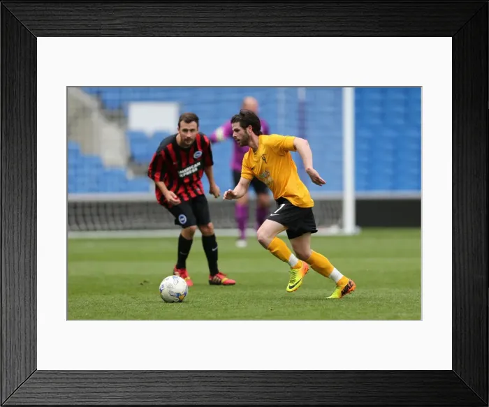 Framed Print : Brighton & Hove Albion: Play on the Pitch - American Express Community Stadium (29 April 2015)