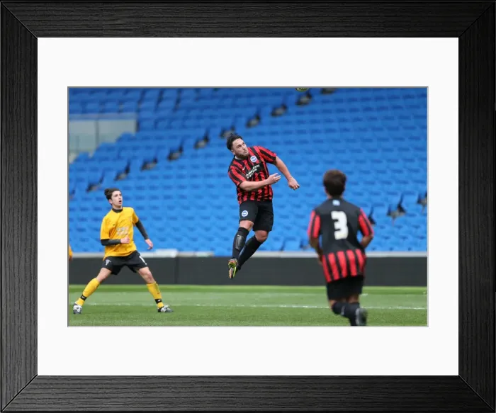 Framed Print : Brighton & Hove Albion: Play on the Pitch - A 2015 Match at American Express Community Stadium Framed Print : Brighton & Hove Albion: Play on the Pitch - A 2015 Match at American Express Community Stadium