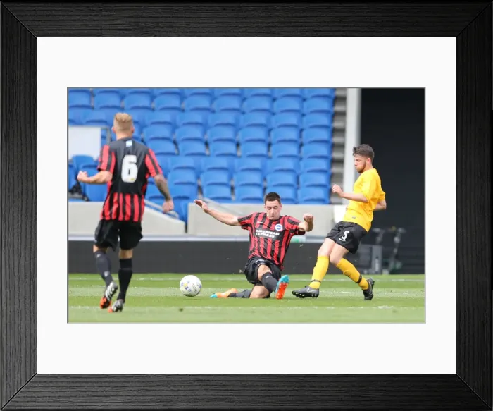 Framed Print : Brighton & Hove Albion: Play on the Pitch - American Express Community Stadium (April 29, 2015) Framed Print : Brighton & Hove Albion: Play on the Pitch - American Express Community Stadium (April 29, 2015)