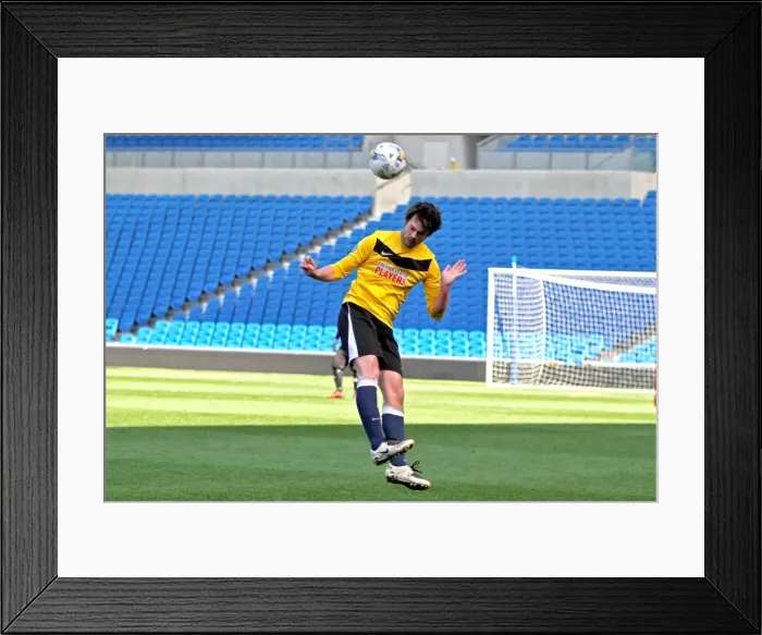 Framed Print : Brighton & Hove Albion: Playing on the Pitch (April 28, 2015, 3:00 PM) Framed Print : Brighton & Hove Albion: Playing on the Pitch (April 28, 2015, 3:00 PM)