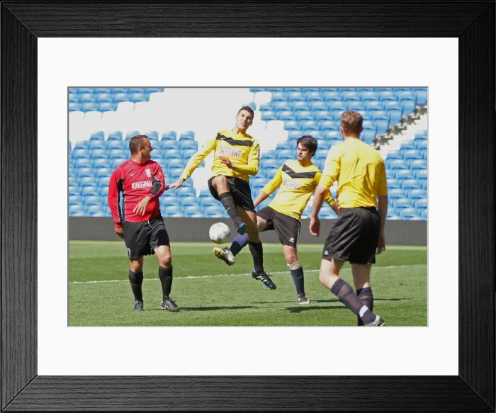 Framed Print : Brighton & Hove Albion: Playing on Pitch (March 28, 2015, 2:00 PM) Framed Print : Brighton & Hove Albion: Playing on Pitch (March 28, 2015, 2:00 PM)
