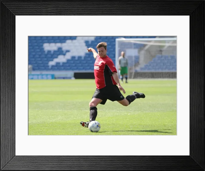Framed Print : Brighton & Hove Albion: Playing on Pitch (April 28, 2015, 3:00 PM)